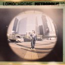 포켓피쉬 이미지