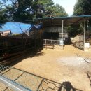 성업목장 이미지