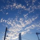 와룡농장 이미지