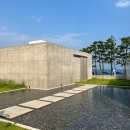 미므미므 이미지