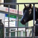 제주축산농협 육가공공장