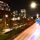 너더리육교 이미지