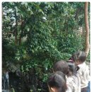 리틀키디 어린이집 이미지