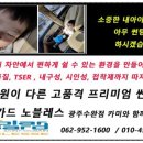 솔라가드썬팅