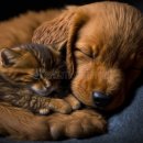 시니어 모델과정(주간) | AI를 활용한 유튜브 쇼츠 수익화 완벽 가이드 (2026년 최신 버전)