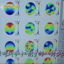 종일농장 이미지