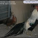 봉황