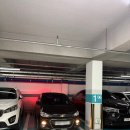 정봉아농장 | 세 얼간이의 제주여행