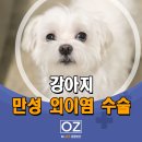 Dr.오즈동물병원 이미지