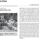 도그 인 시티 네이버블로그