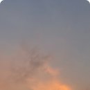 청대리막국수 이미지