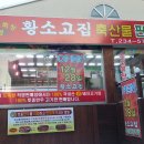 황소고집 - 목포시 | 황소고집