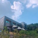 오시유 이미지