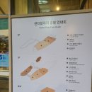 유일프라자약국 | (평창 여행지) &#39;블루캐니언 워터파크&#39; 방문후기, 휘닉스파크 부대시설 소개