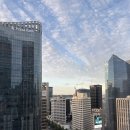 일층살롱(1F salon) | 롯데호텔 서울 사우나 수영장 르살롱라운지 이용안내