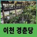 연못휴게소카페W | 이천 경춘당, 응암휴게소 자리에 생긴 식물원 베이커리 카페 점심 방문 후기