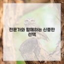 애견이야기 이미지