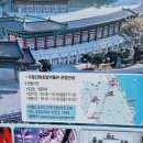 강원특별자치도 장애인복지회 | 강원도 삼척 강원종합박물관 포토존 종유석 관람