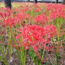 성경종합정비 이미지