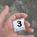 맛나식당 이미지