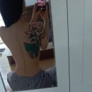 끌리어의원 이미지