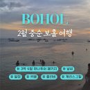 2월 중순 보홀 여행 (3박 4일 하나투어 패키지 / 가족여행)ㅣ날씨 / 일정 / 카페 추천 / 졸리비...