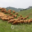 초원인력 - 서구 통학로15길 21 | 초원인력