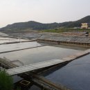 몽산포자전거여행 이미지