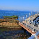 호미반도해안둘레길 이미지