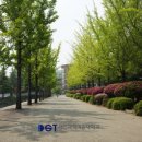 대전과학기술대학교양지관 이미지