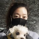 뚝방길~우리예식장 | [엘라필라테스발레핏]4월의 일상. 취미생활시작:가죽공예