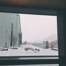 루나뜨레 | 3월 1주 일기.