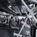 팀비식스 이미지