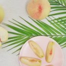 이백농장 이미지