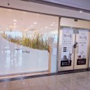 701아를고양이카페(cat in the art) 이미지