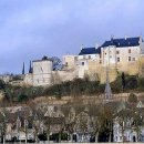 블루아라(II) 이미지