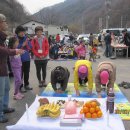 자연누리 이미지