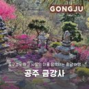 금강사 | 충남 공주 꽃구경도 하고 사찰의 미를 탐색하기 좋았던 &lt;금강사&gt;