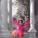 희망의 나래 이미지