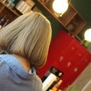 브라운버즈 이미지