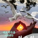 행복미소(주)