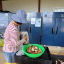 솔안농장 이미지