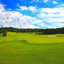 VIP골프존 이미지