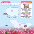 {테마섬 3개인증)2026년 5월 23일 토요일} 1004섬 신안반월도 &amp; 박지도 라벤더 축제 (옥도 작약꽃 축제) 안내 이미지