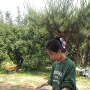 완두콩스테이 이미지