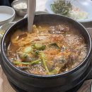 망경장어 이미지