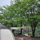 달이 머무는 집 이미지