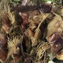 천연산야초농장 이미지