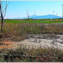 매음보건진료소 이미지