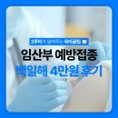 예일치과의원 | 백일해예방접종가격 4만원, 까치산 속시원한내과 접종후기